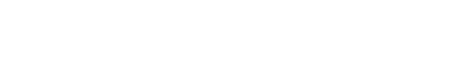 PVcase